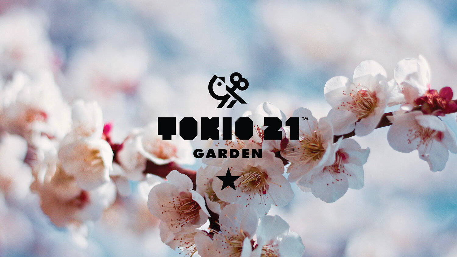 Tokio 21 Garden