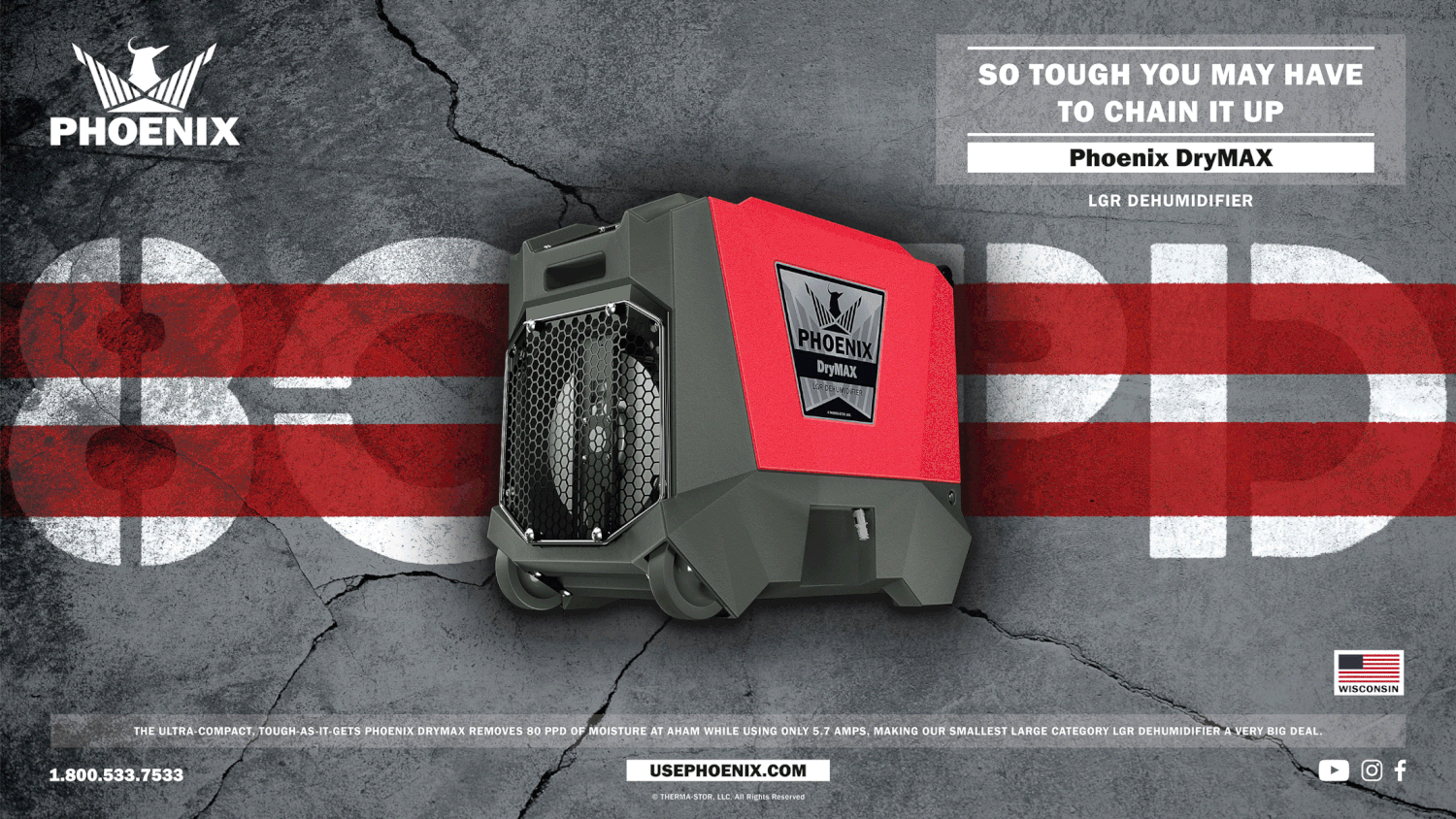 Phoenix Brand Campaign GIF