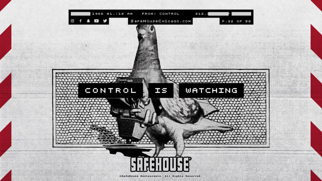 SafeHouse Pigeon